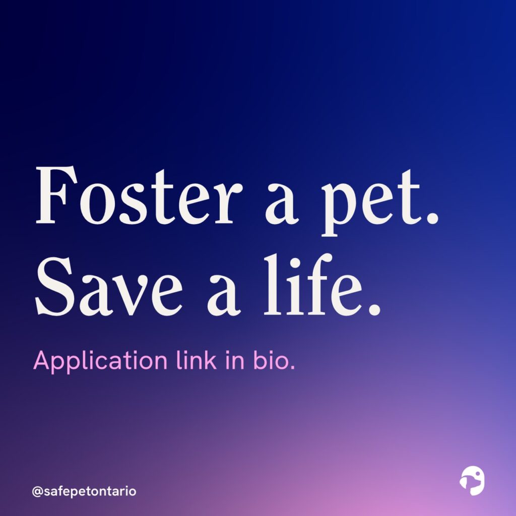 SafePet Ontario social media slide: Foster a pet. Save a life.